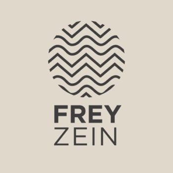 Freyzein Logo_new